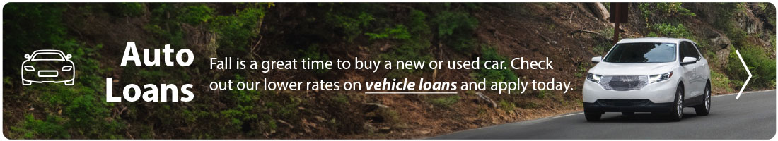 Auto Loans banner